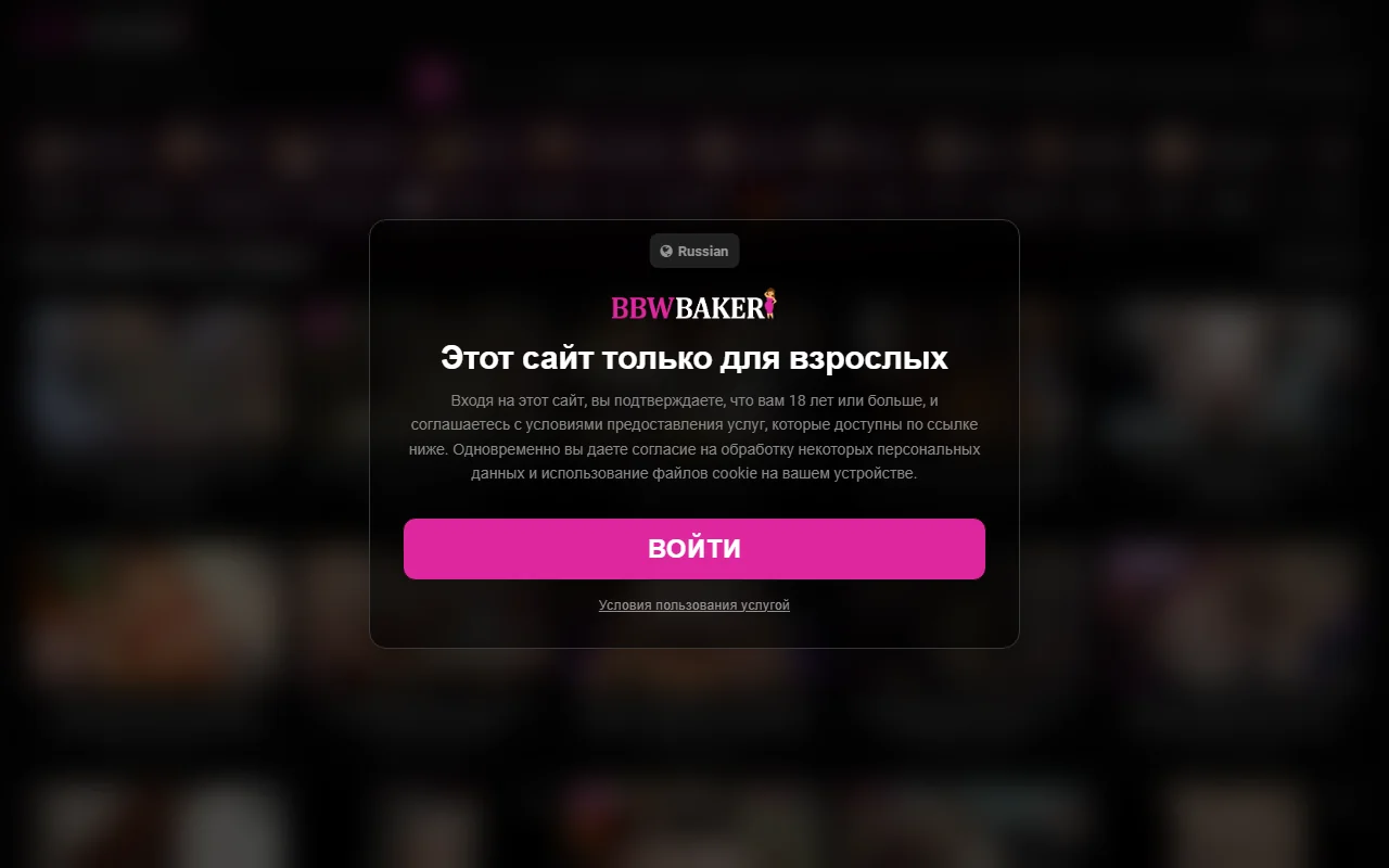 Screenshot of Bbwbaker